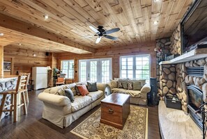 TV, fireplace, books