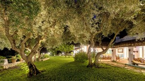An outdoor garden area with olive trees, a stone pathway, and a building with outdoor seating.