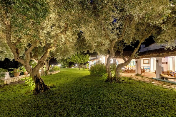 An outdoor garden area with olive trees, a stone pathway, and a building with outdoor seating. - Villa Mariani: Villa in San Felice Circeo (San Felice Circeo)
