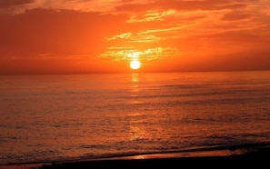 Beach nearby - Condo# 414 2 Bed/2 bath Condo Steps to Siesta Key Beach! (Sarasota)