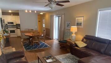 TV connectée, cheminée, lecteur de DVD