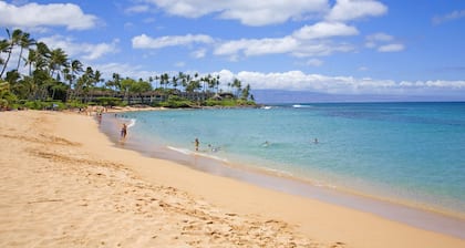 Relax in the Kapalua Golf Villas - Listing newly back on the market - Specials!