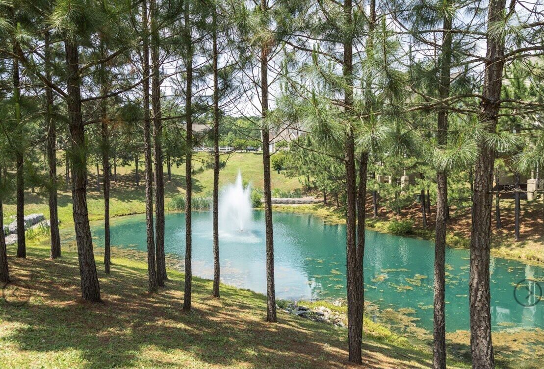 Deluxe Estate w/3 bedrooms & 2full kitchens.  Near Busch Gardens & Water Country