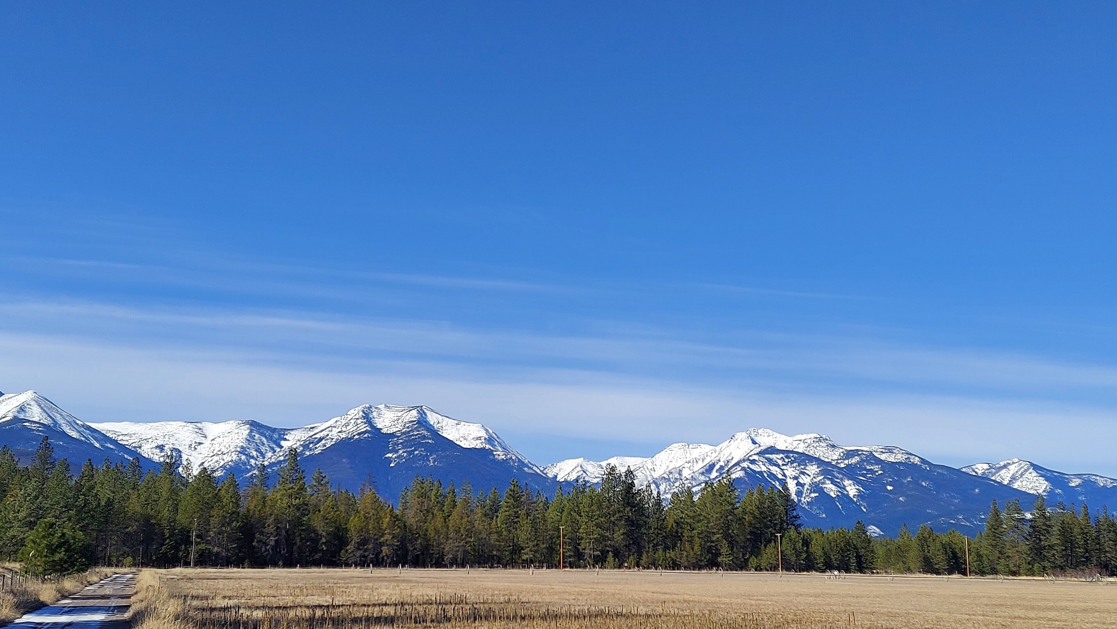 A mountainous landscape with snow-capped peaks, a clear blue sky, and a forested area in the foreground.