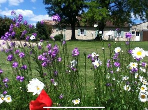 Property grounds - Serene périgourdine with equestrian facilities and immediate access to forest (Saint-Méard-de-Gurçon)