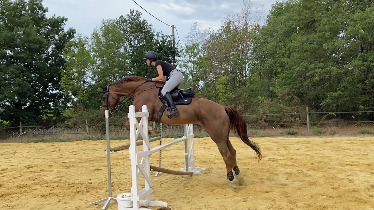A person riding a horse over a jump in an outdoor arena with trees in the background.