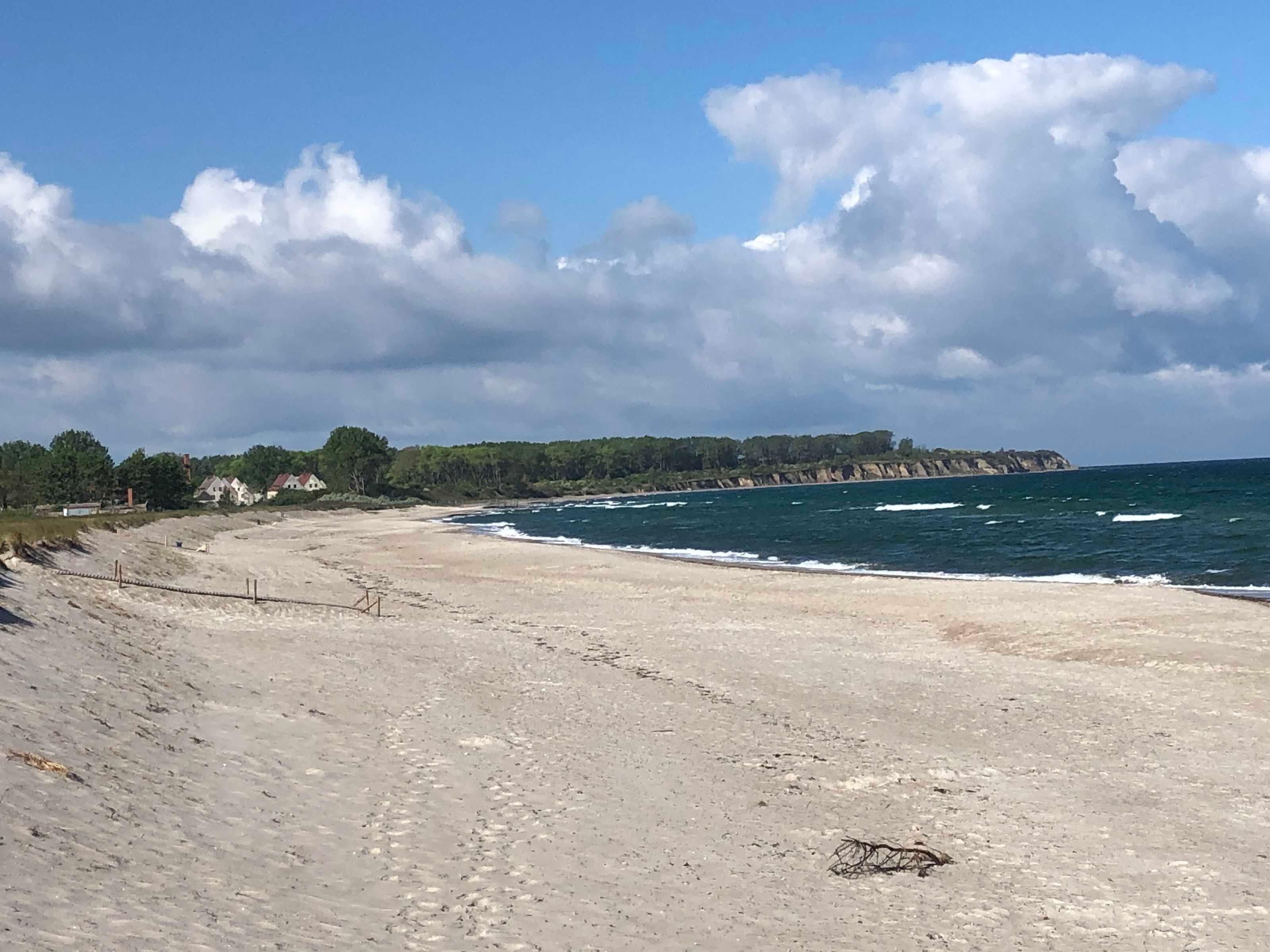 A beach with a sandy shore, a fence, and a forested cliff in the background.
