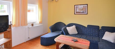 TV, fireplace, DVD player, ping pong