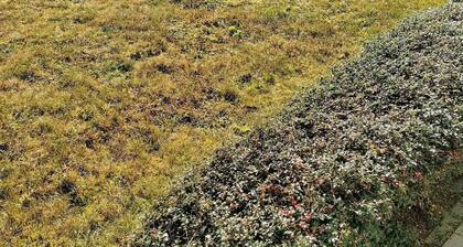 Ferienwohnung-Wilmes - Burgstr.15 Nr.2