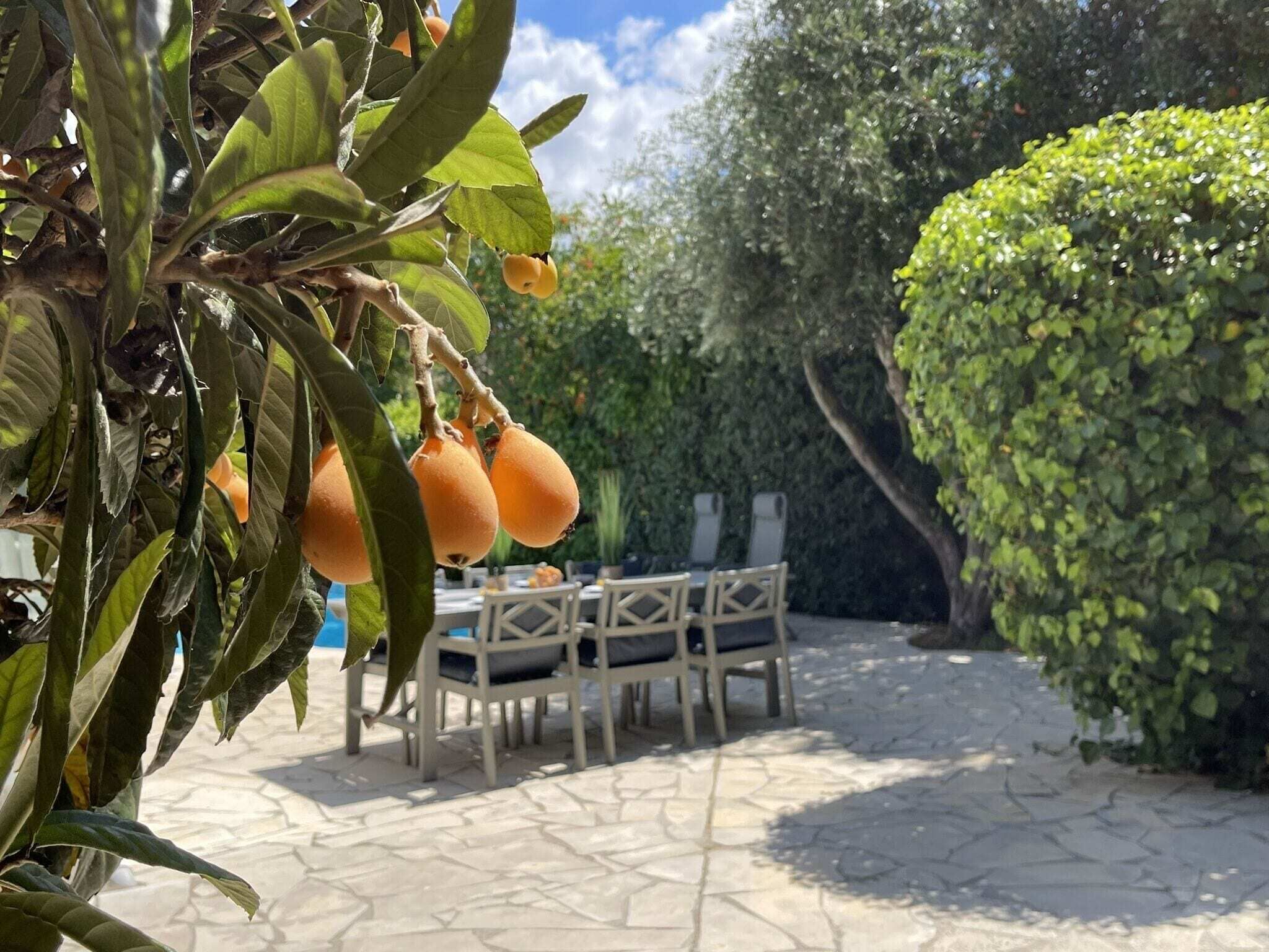 Un patio con una mesa y sillas, rodeado de follaje y un seto.
