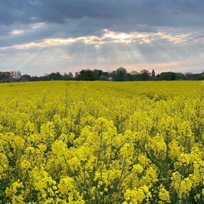 Botón de imagen sin clasificar, 3 de 17