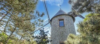 Charming Home with Orchard