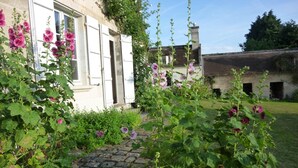 Un jardin avec des plantes à fleurs et un bâtiment doté d’une fenêtre et d’une porte.