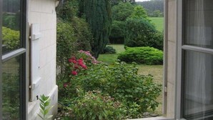 Une vue à travers une fenêtre ouverte sur un jardin avec un bâtiment blanc, un grand arbre et divers arbustes.