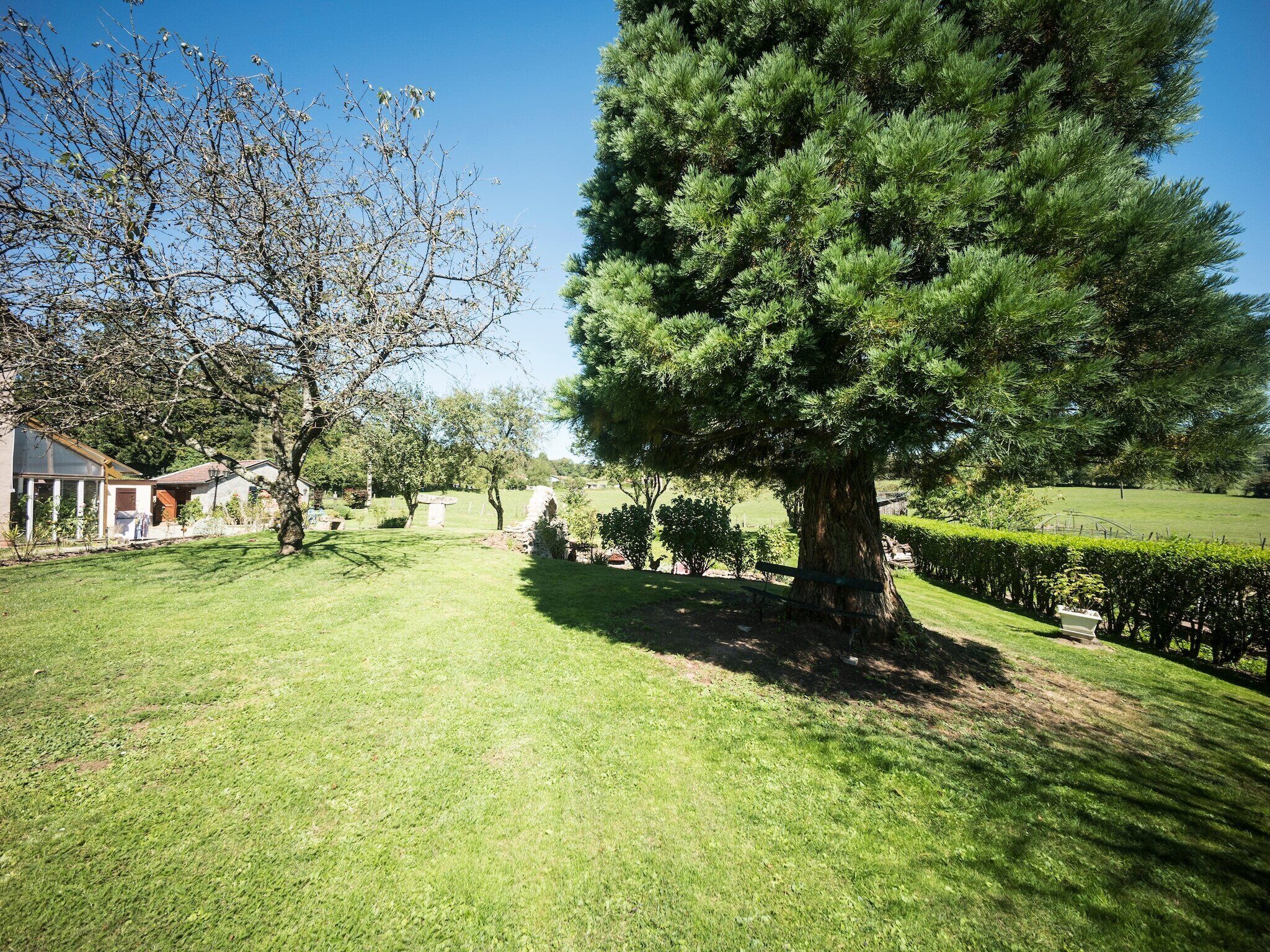 A well-maintained grassy area with a large tree, a stone structure, and a house with a visible porch.