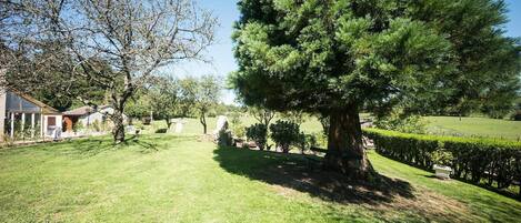 A well-maintained grassy area with a large tree, a stone structure, and a house with a visible porch.
