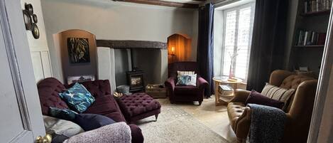 TV connectée, cheminée, livres, vidéothèque