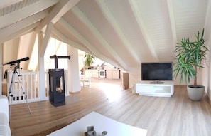 Fernseher, Kamin
