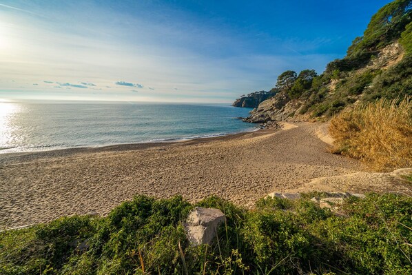 A beach with a rocky cliff and greenery in the foreground.