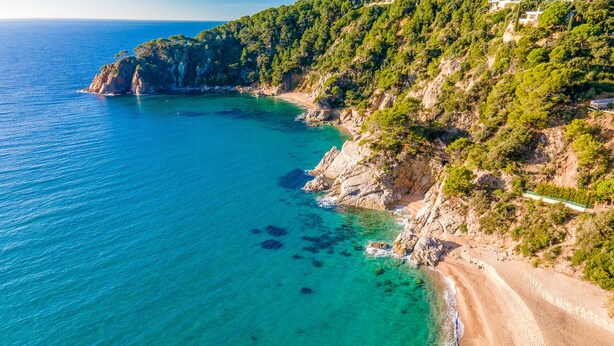 A coastal landscape with a beach, rocky cliffs, and dense greenery.
