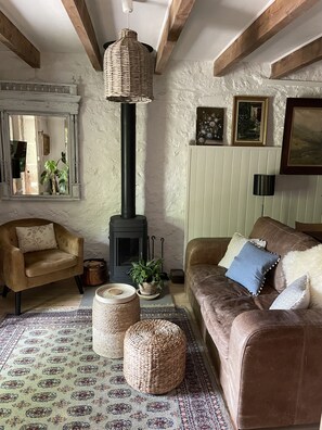 Una sala de estar acogedora con chimenea, un sofá, una butaca y un tapete estampado.