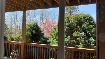 Terrain de l’hébergement