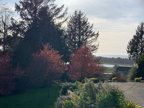 Un quartier résidentiel comprenant une maison, une allée et une vue sur un lac.