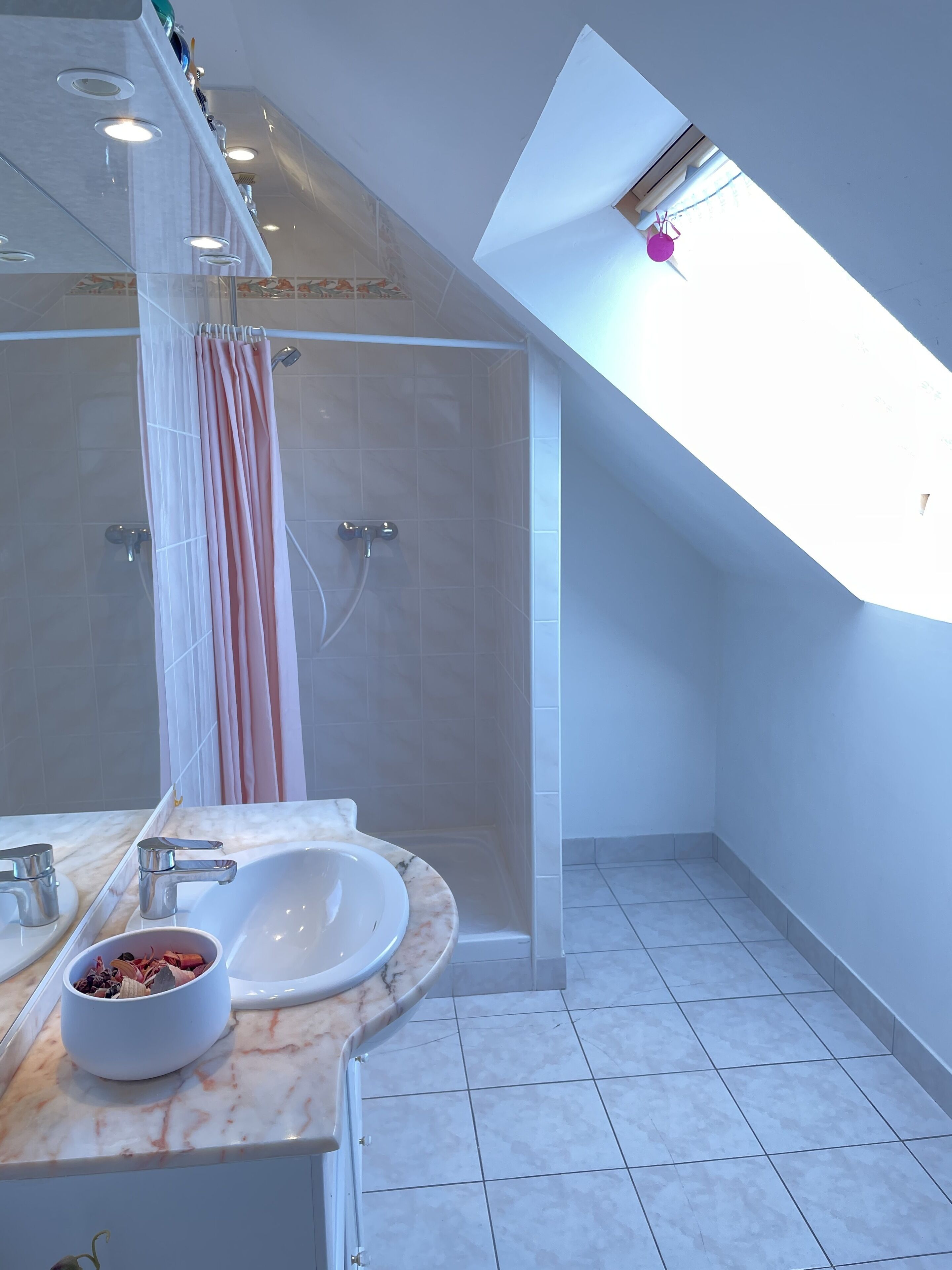 Douche, sèche-cheveux, papier toilette