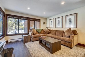 TV, fireplace, books