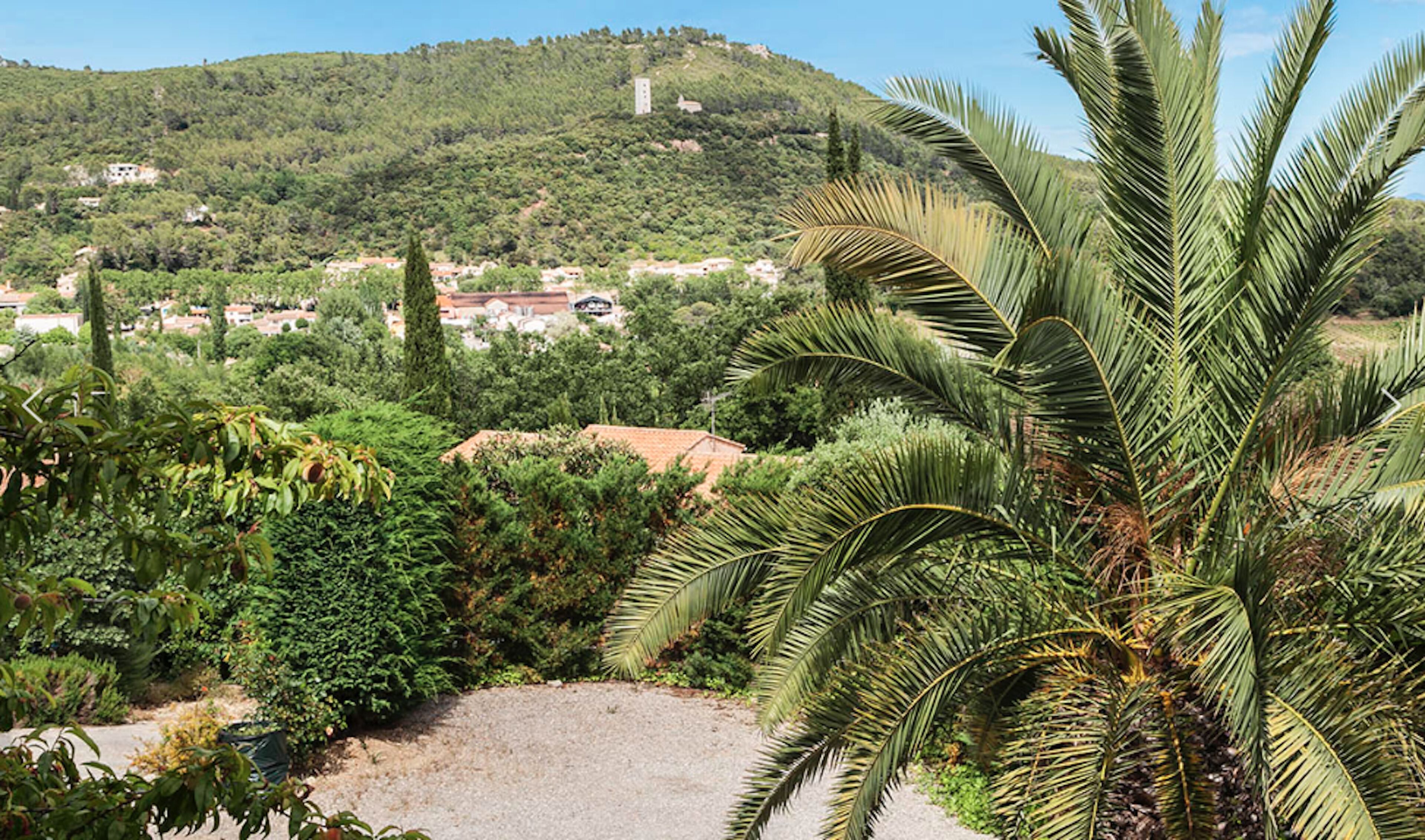 A lush garden with palm trees and dense foliage, a gravel path, and a view of a hillside with buildings in the distance.