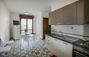 Fridge, stovetop, cookware/dishes/utensils