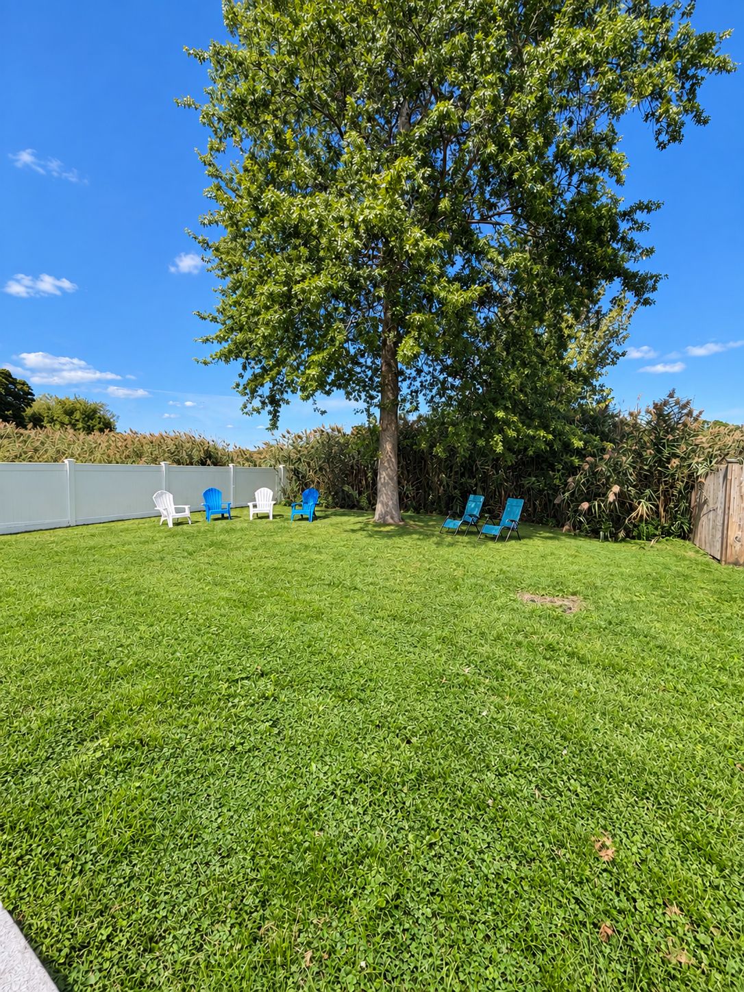A well-maintained grassy backyard with a large tree, several lawn chairs, and a wooden fence.