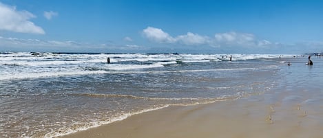 Playa en los alrededores y camastros 