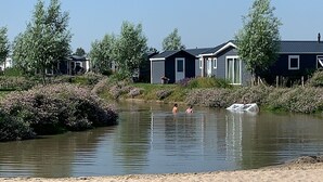 En stilla vattenyta med en gräsyta i förgrunden och hus i bakgrunden.