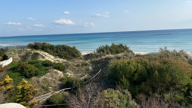A coastal landscape with a sandy beach, dense greenery, and a clear blue sky.