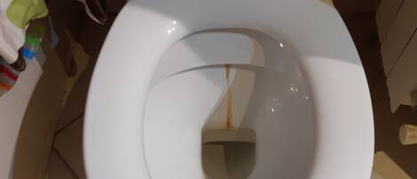 HandtĂŒcher, Toilettenpapier