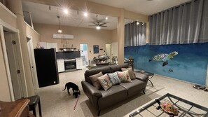 TV