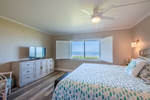 2 bedrooms, iron/ironing board, travel crib, free WiFi - Oceanfront, Ground Floor w/ incredible view of the ocean. (Indialantic)