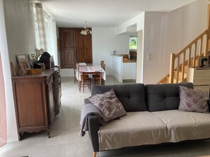 Televisión, chimenea, libros y monitor de computadora