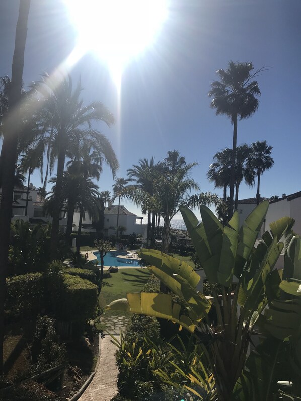 Relax by the pool surrounded by lush greenery and a clear ocean view.