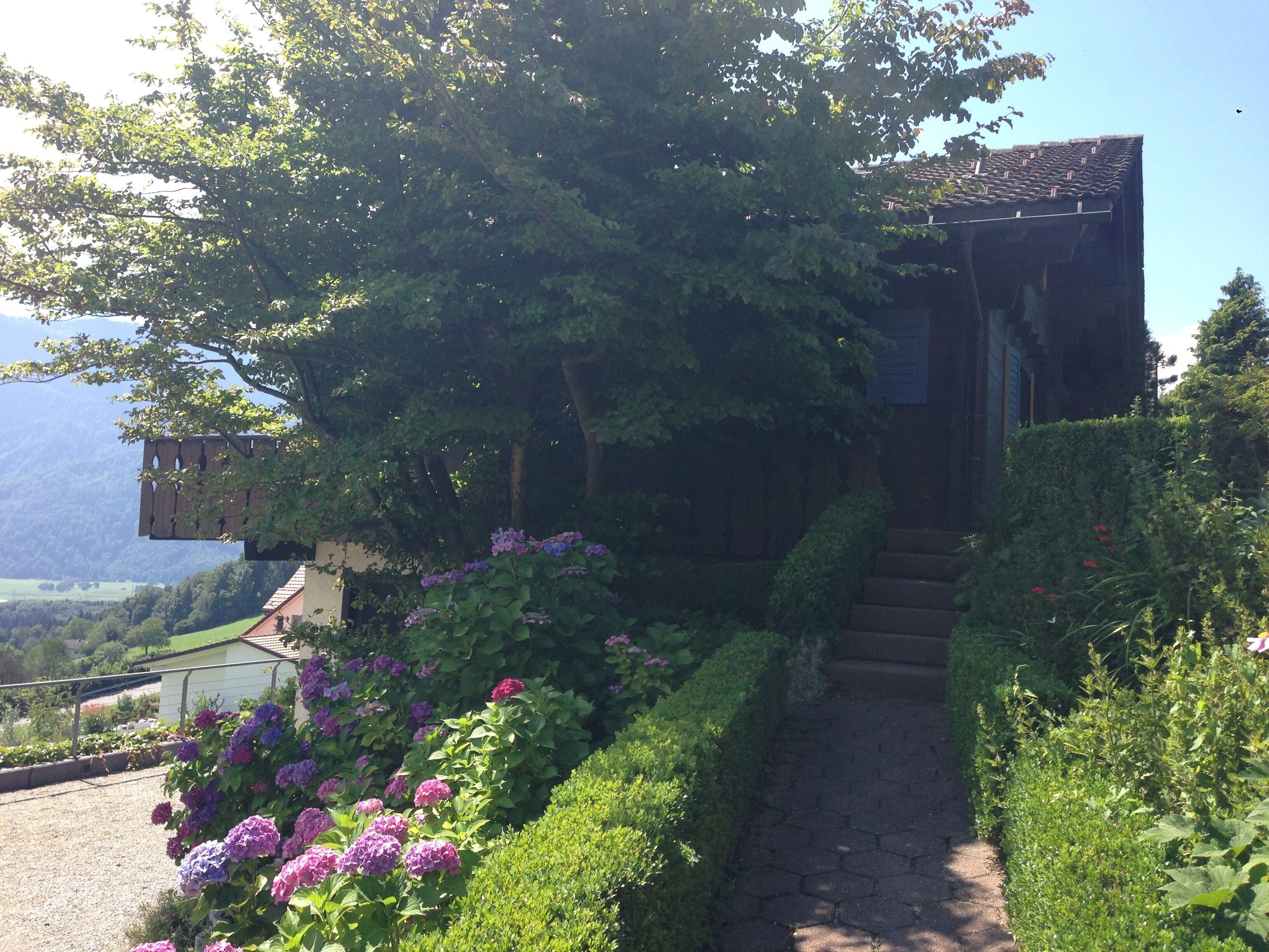 Jardines del alojamiento