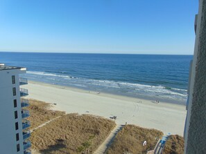 On the beach, sun-loungers - Unit 1203 Mar Vista Grande Oceanfront Resort.  STUNNING 3 BR, 3 BA -Sleeps 8. (North Myrtle Beach)