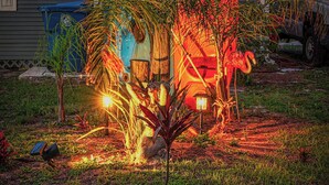A residential area with a house, palm trees, and a parked vehicle. - Waterfront w access to the Weeki Wachee River & Gulf of Mexico - Dog Friendly! (Spring Hill)