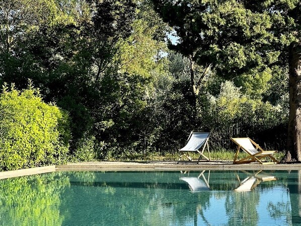 A swimming pool with two lounge chairs, surrounded by dense greenery and trees.