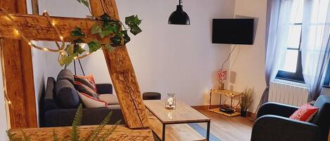TV, books
