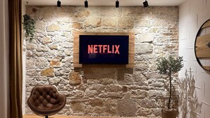 Une pièce avec un mur en pierre, un téléviseur fixé au mur affichant le logo « NETFLIX », un fauteuil en cuir, un plancher en bois et une plante en pot.