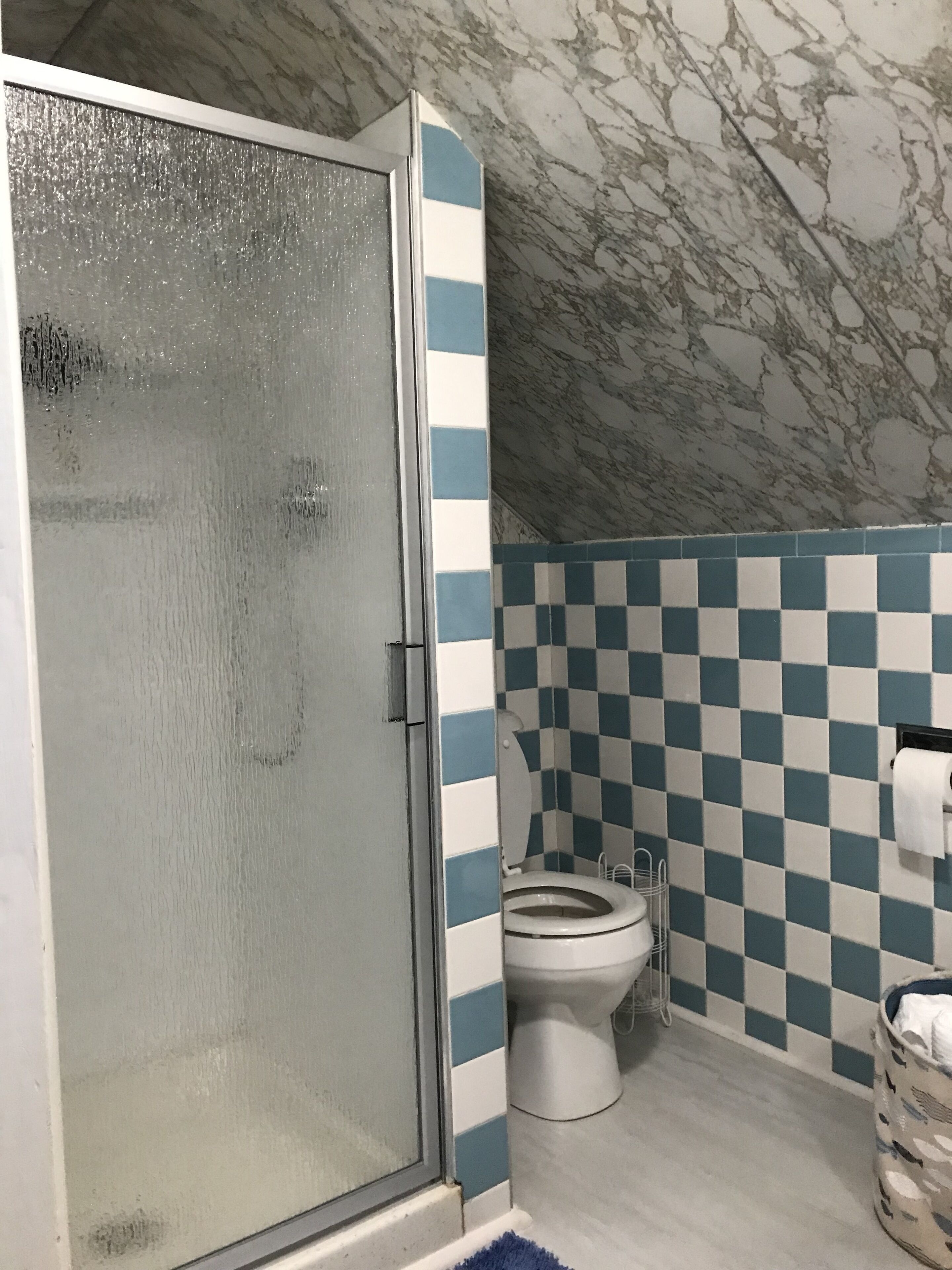 A bathroom with a glass shower door, a toilet, and a checkered tile wall.