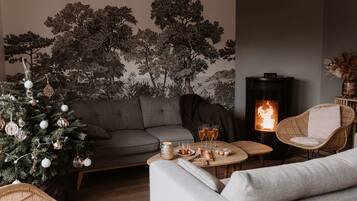 TV, fireplace, DVD player, stereo