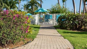 Un camí pavimentat que condueix a una entrada tancada amb palmeres i plantes tropicals.