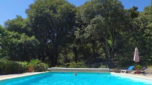 A rectangular swimming pool surrounded by lush green trees.